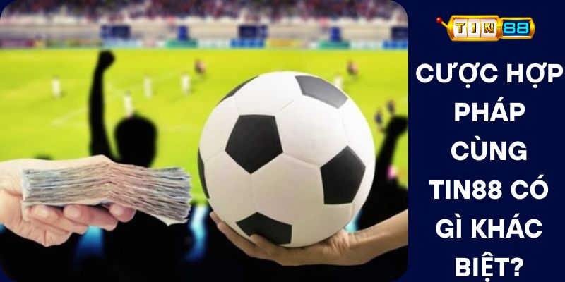 Cược Hợp Pháp Cùng Tin88 Có Gì Khác Biệt?